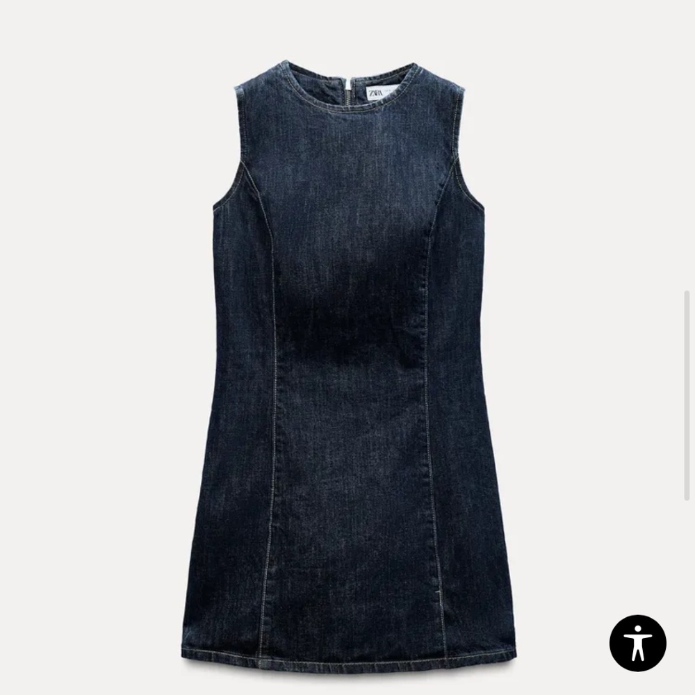 Zara Denim Dress